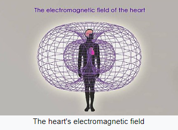 Heart EM Field
