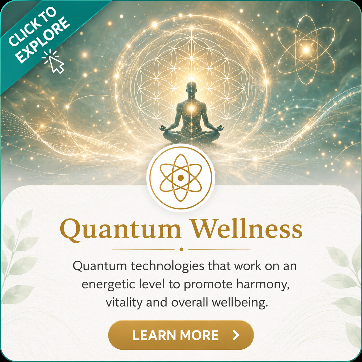 Quantum wellness assessment